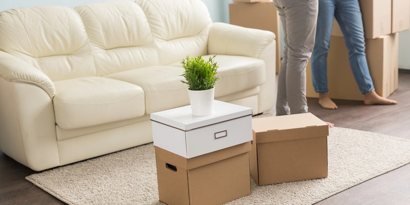 Einzugsgeschenk: Umzugskartons mit Topfpflanze im hellen Wohnzimmer vor einem weißen Sofa